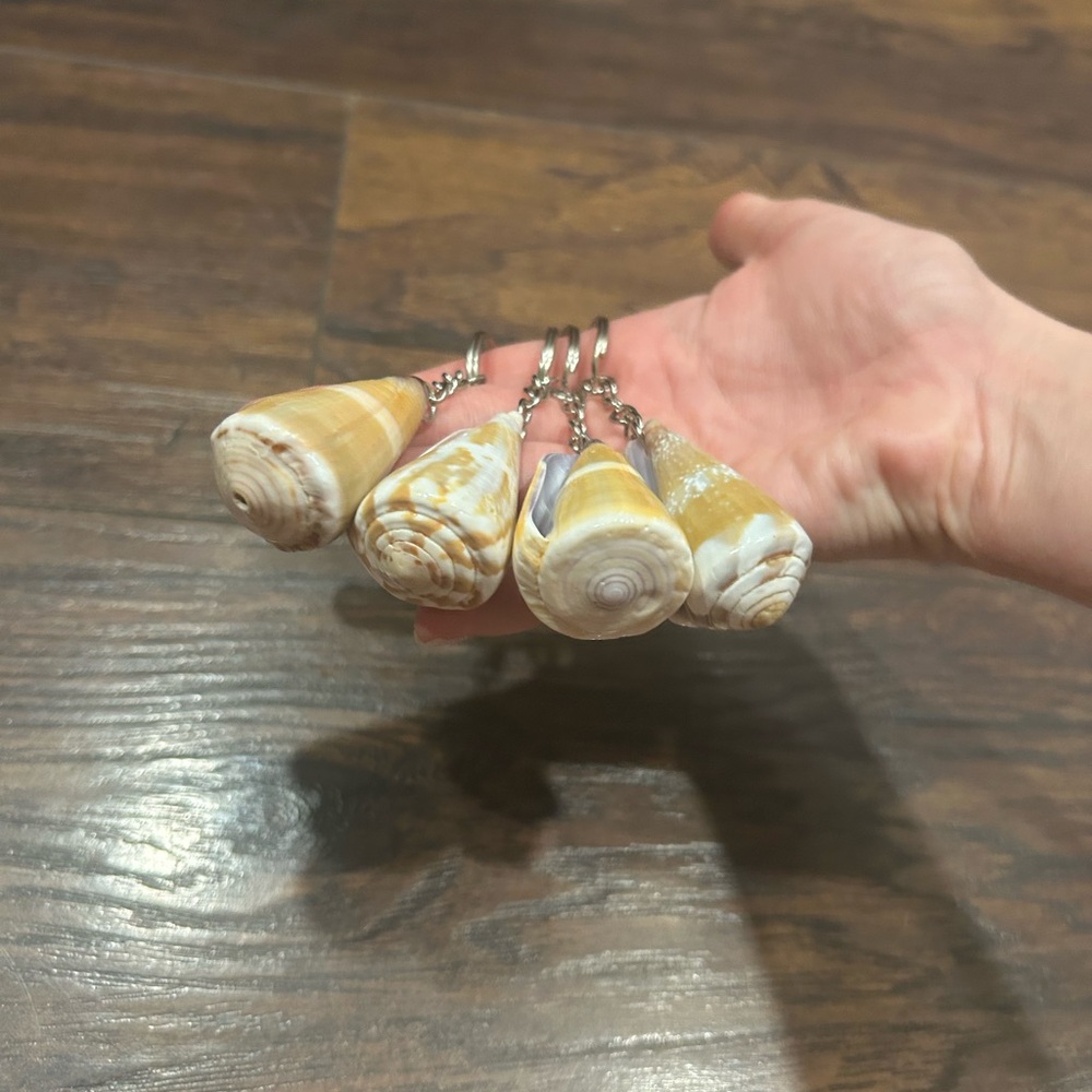 Cone Shell Keychain Set - Picture 5 of 5